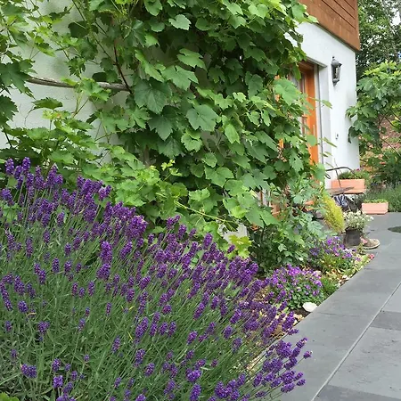 Sam & Cindy Muehlemann *