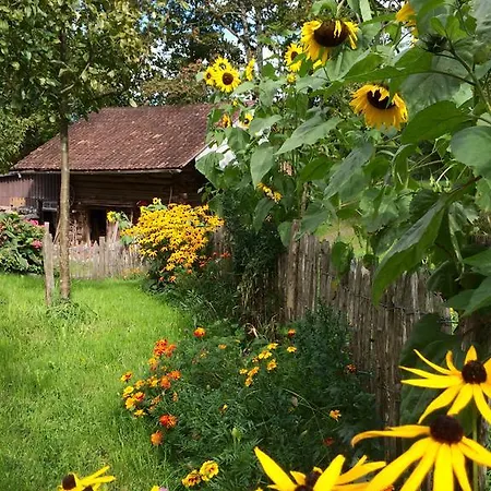 Sam & Cindy Muehlemann * インターラーケン