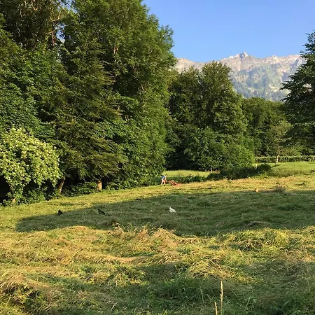 アパート Sam & Cindy Muehlemann