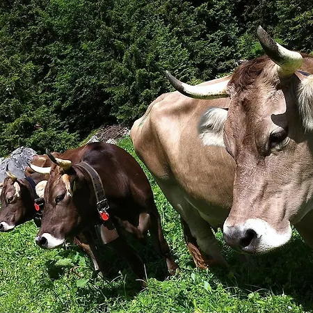 Sam&cindy Mühlemann Apartamento