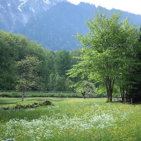 Sam & Cindy Muehlemann インターラーケン