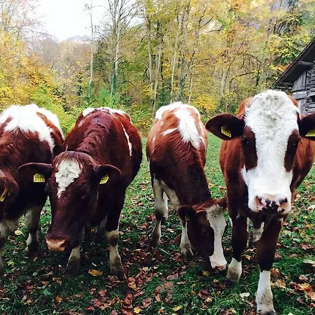 アパート Sam & Cindy Muehlemann *