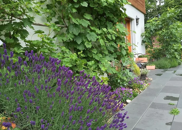 Sam & Cindy Muehlemann *