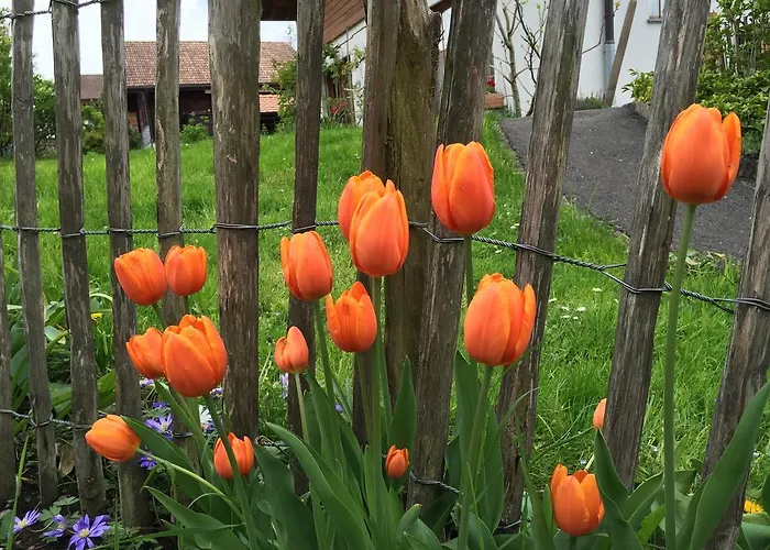 Apartament Sam & Cindy Muehlemann Interlaken