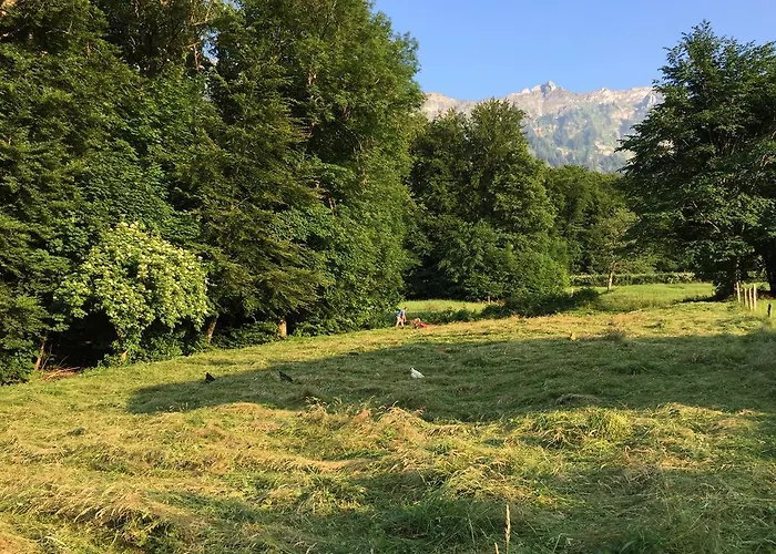 Apartament Sam & Cindy Muehlemann