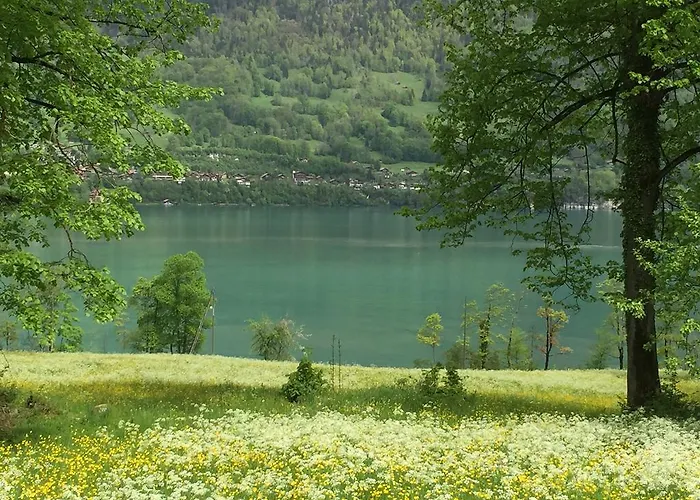 Apartment Sam & Cindy Muehlemann *