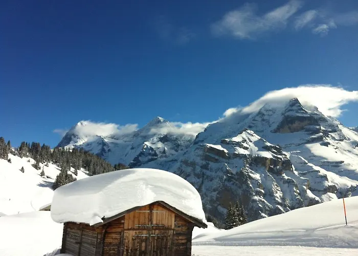 Apartment Sam & Cindy Muehlemann *