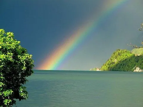 Apartment Sam & Cindy Muehlemann *