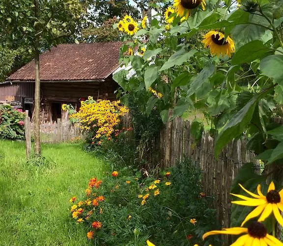 Sam & Cindy Muehlemann * Interlaken