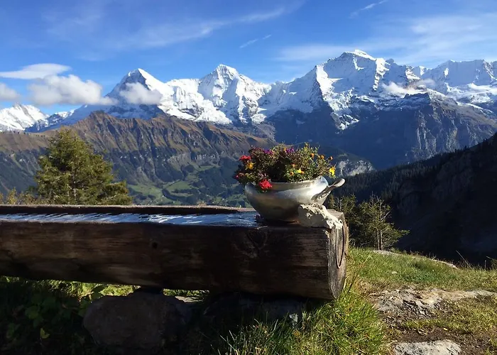 Lejlighed Sam & Cindy Muehlemann *