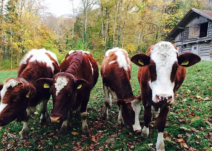 Апартаменти Sam & Cindy Muehlemann *